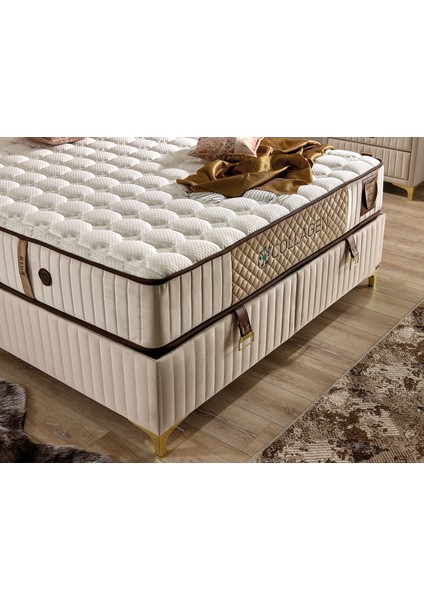 Collagen Yatak Tek Kişilik 90 x 190 cm modelleri