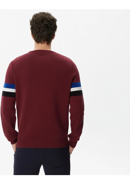 Erkek Regular Fit Uzun Kollu Bisiklet Yaka Renk Bloklu Bordo Triko fiyatları