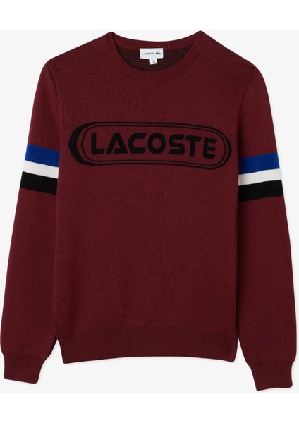 Erkek Regular Fit Uzun Kollu Bisiklet Yaka Renk Bloklu Bordo Triko modelleri