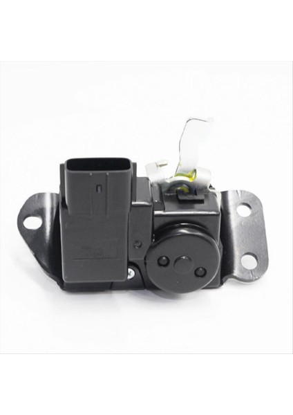 812301D000 Bagaj Bagajı Kilit Blok Bagaj Kilit Çıkış Aktüatörü Kia Rondo Carens 2006-2011 Kuyruk Kapısı Montajı (Yurt Dışından) fiyatları