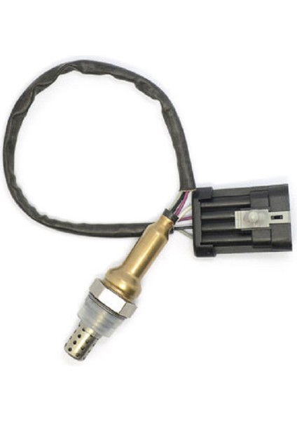 3x Dayanıklı Oksijen Sensörü 25325359 RE94 Için Delphi Dongfeng Jingbei Jac Dayanıklı Araba Aksesuarı (Yurt Dışından) fırsatları