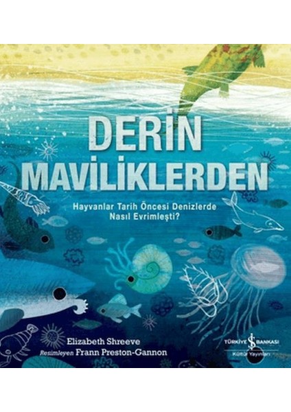 Derin Maviliklerden
