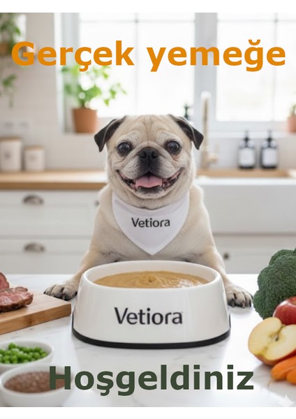 Yeni Nesil Küçük Irk Yaşlı Köpek Maması, İnsan Sınıfı Formunda, Et, Tahıl, Meyve, Sebze 1 kg fırsatları