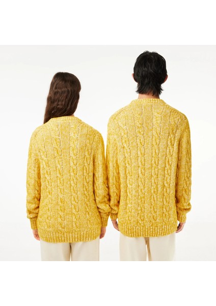 Cotton/mercerized Alpaca Cable Knit Sweater fiyatları