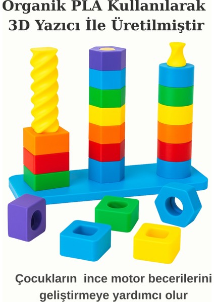 Organik 3D Baskı Renkli Şekil Eşleştirme Oyuncağı - Eğitici Aktivite Seti - Ince Motor Gelişimi fırsatları