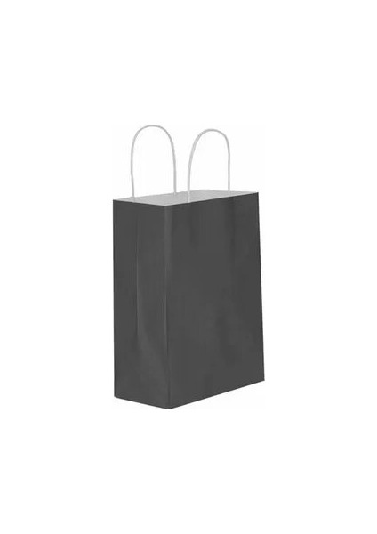 22X10X29 90 Gsm Burgu Saplı Siyah Kraft Çanta (100 Adet)