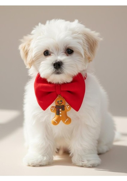Kurabiye Adam Küçük Irk Köpek Papyon Tasması | Kırmızı Fiyonk Boyun Aksesuarı | Noel Temalı Köpek Süsü