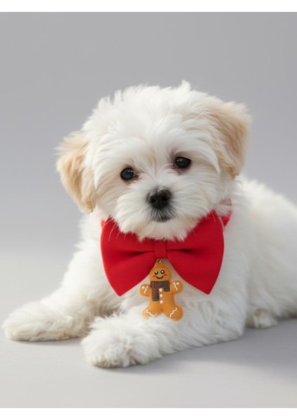 Kurabiye Adam Küçük Irk Köpek Papyon Tasması | Kırmızı Fiyonk Boyun Aksesuarı | Noel Temalı Köpek Süsü modelleri