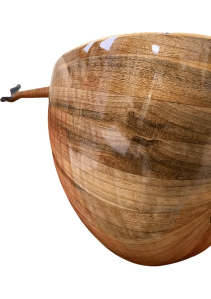 Ö1 Başlangıç Serisi Kısa Sap Bağlama indirimleri