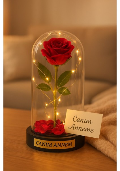 Annelere Özel Dekoratif Hediye Mika Fanus Içinde canım Annem Yazılı LED Işıklı Yapay Kırmız GÜL 20CM fiyatları