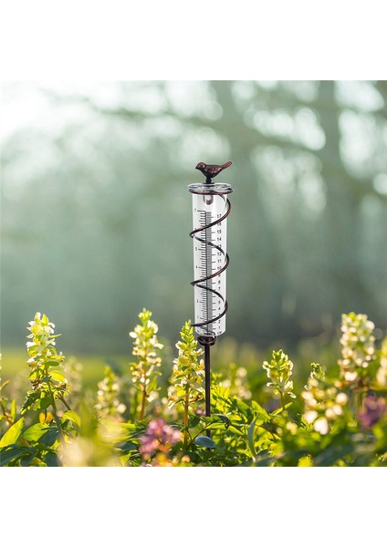 Kapasite Cam Spiral Yağmur Göstergesi, Dökme Demir Kuş Asma Yağmur Göstergesi, Metal Çerçeveli Bahçe Yağmur Suyu Ölçer (Yurt Dışından) indirimleri