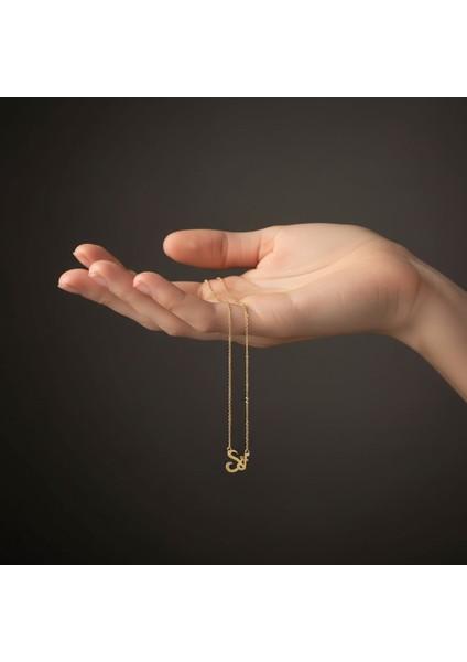 14 Ayar Altın Kolye Ucu F&s GM11504 1 gr fiyatları