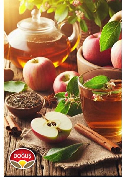 Tarçın Karanfilli Yeşil Çay 20'li Bitki Çayı Ferahlatıcı Lezzet ve Yerli Üretim fırsatları