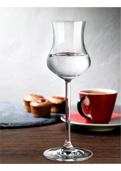 Nude Serisi 66110 Ayaklı Kadeh 2 Li fiyatları