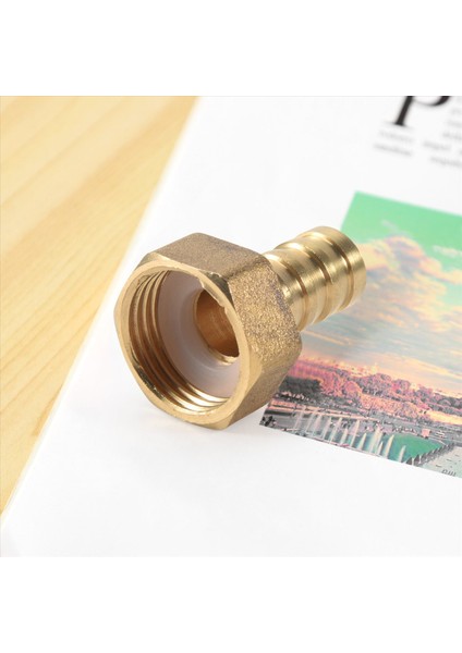 Altın Pirinç Fitting 10MM Hortum Barb 1/2 &quot;npt Dişi Iplik Düz Konektör (Yurt Dışından) indirimleri