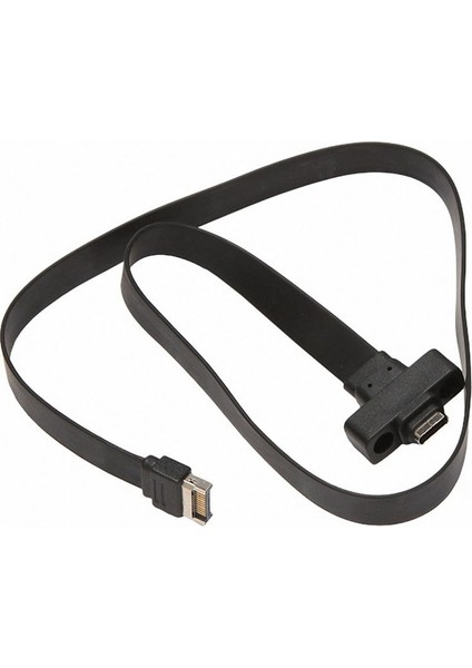 USB 3.1 Ön Panel Tipi E Erkek-Usb-C Tip C Genişletme Kablosu Bilgisayar Anakart Konektörü Tel Kablosu Hattı, 30CM (Yurt Dışından) fırsatları