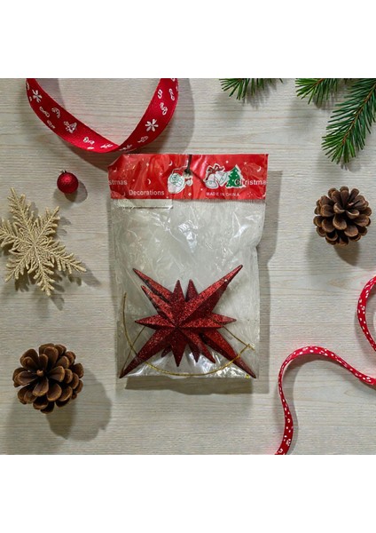 2li Yıldız Yılbaşı Ağacı Süsü