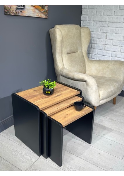 Lara Zigon Sehpa 3'lü Zigon Sehpa Yan Sehpa Siyah Çam fiyatları