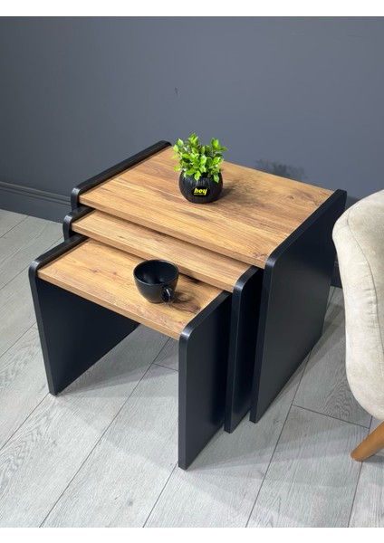 Lara Zigon Sehpa 3'lü Zigon Sehpa Yan Sehpa Siyah Çam indirimleri