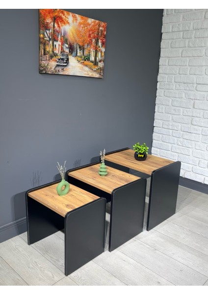 Lara Zigon Sehpa 3'lü Zigon Sehpa Yan Sehpa Siyah Çam