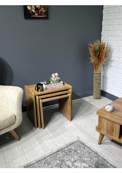 Lara Zigon Sehpa 3'lü Zigon Sehpa Yan Sehpa Ceviz