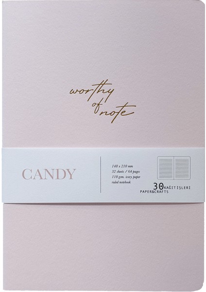 Worthy Of Note • Çizgili Not Defteri