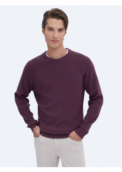 Mürdüm Bisiklet Yaka Desenli Triko Kazak