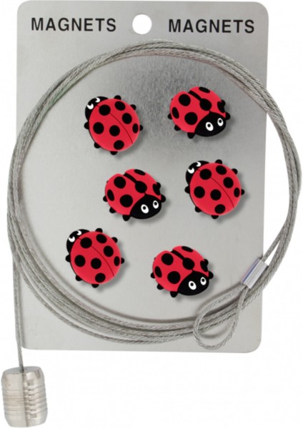 Fotoğraf Askı Kablosu ve Mıknatıslar - Magnetic Cable Uğur Böceği