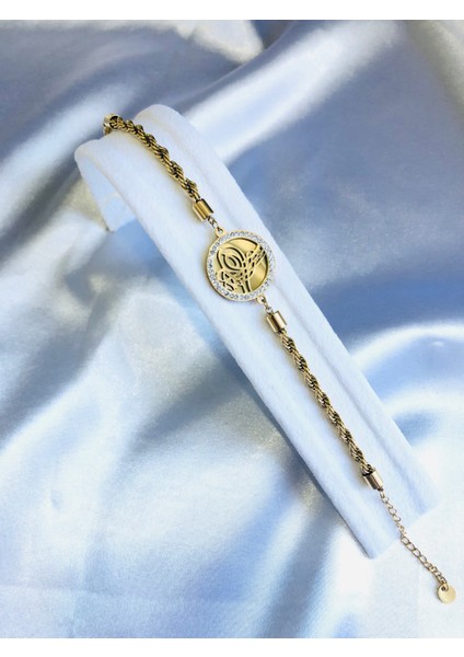 Taş Detaylı Çelik Tuğra Burgu Zincir