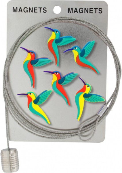 Fotoğraf Askı Kablosu ve Mıknatıslar - Magnetic Cable Sinek Kuşu