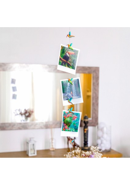 Fotoğraf Askı Kablosu ve Mıknatıslar - Magnetic Cable Sinek Kuşu fiyatları