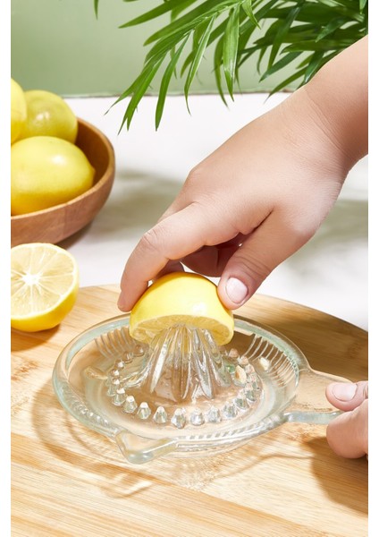 Cam Limon Sıkacağı modelleri