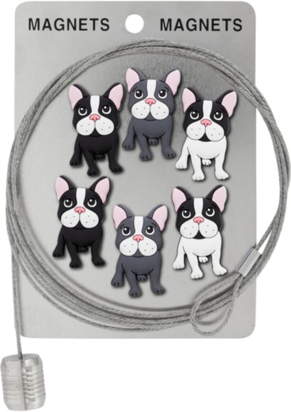 Fotoğraf Askı Kablosu ve Mıknatıslar - Magnetic Cable Buldog