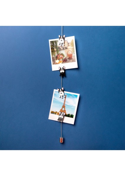 Fotoğraf Askı Kablosu ve Mıknatıslar - Magnetic Cable Buldog fiyatları