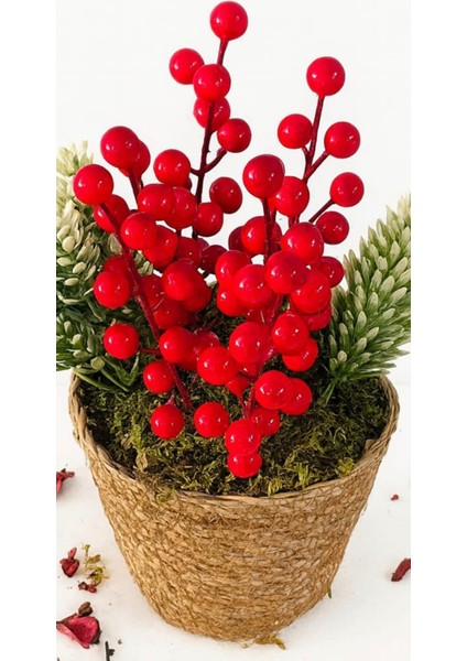 Kış Kırmızısı Kokina Berry & Hasır Saksı Mini Aranjman