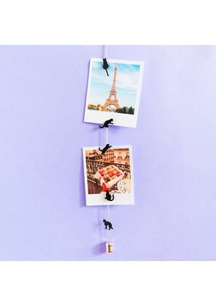 Fotoğraf Askı Kablosu ve Mıknatıslar - Magnetic Cable Siyah Kediler fiyatları