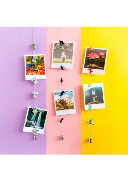 Fotoğraf Askı Kablosu ve Mıknatıslar - Magnetic Cable Siyah Kediler fırsatları