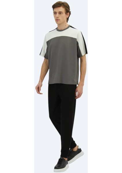 Antrasit Düz Bisiklet Yaka T-Shirt