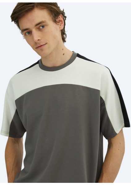 Antrasit Düz Bisiklet Yaka T-Shirt