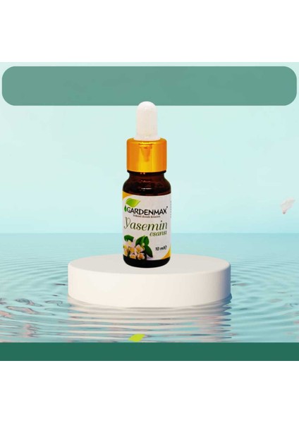 Buhurdanlık ( Yasemin ) fiyatları