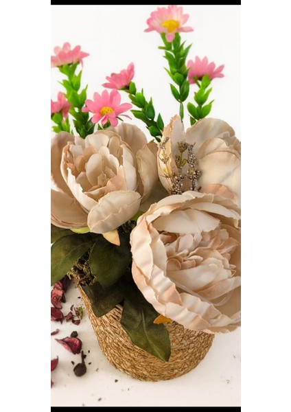 Hasır Saksıda Şampanya Şakayık & Pembe Daisy Aranjmanı fiyatları