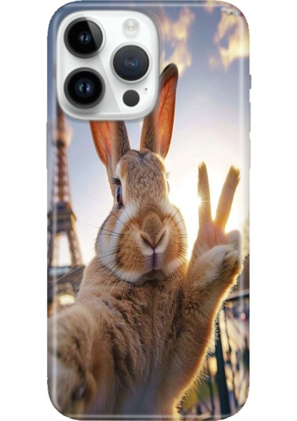 iPhone 15 Pro Max Kılıf Desenli Baskılı Tpu Rubber Kapak Pariste Tavşan