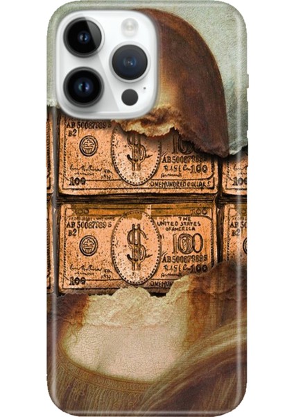 iPhone 15 Pro Max Kılıf Desenli Baskılı Tpu Rubber Kapak 100 Dolar