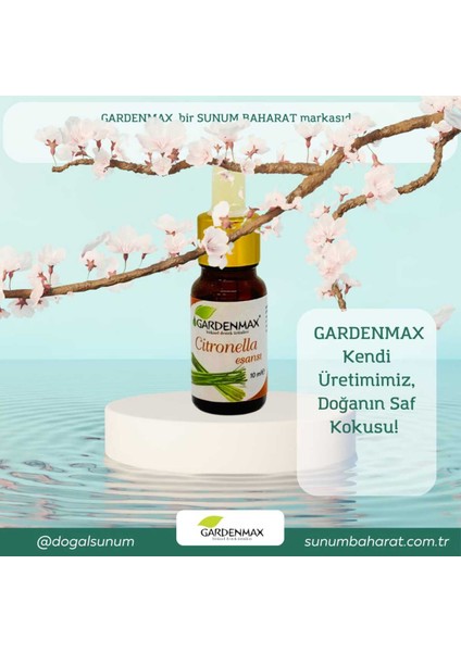 Buhurdanlık Esansı ( Citronella ) fiyatları