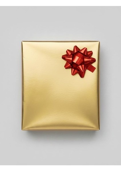 Arpa Çelik Bileklik modelleri