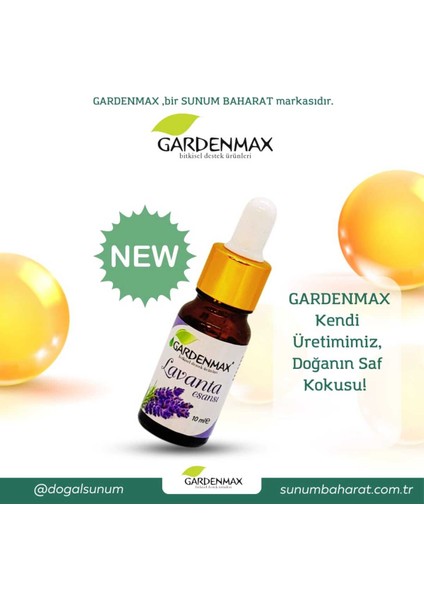 Buhurdanlık Esansı ( Lavanta )