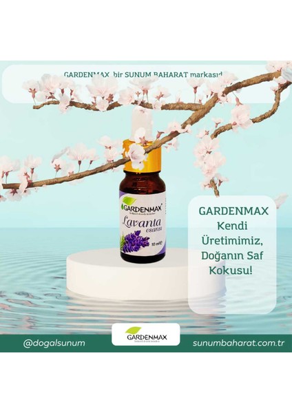 Buhurdanlık Esansı ( Lavanta ) modelleri