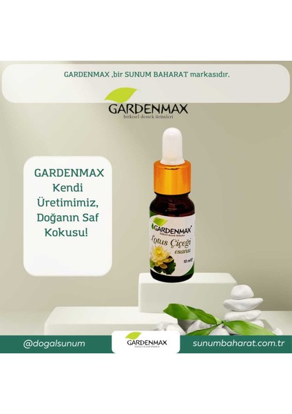 Buhurdanlık Esansı (Lotus Çiçeği ) modelleri