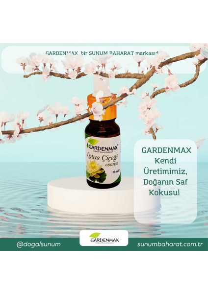 Buhurdanlık Esansı (Lotus Çiçeği ) fırsatları