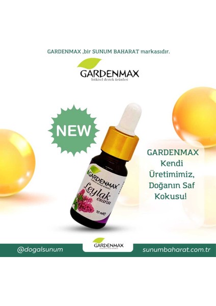 Buhurdanlık Esansı ( Leylak )